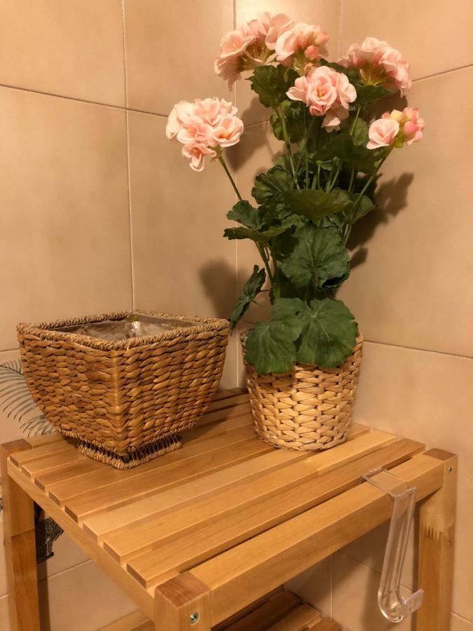 Da Paola Bed & Breakfast Pisa Eksteriør bilde