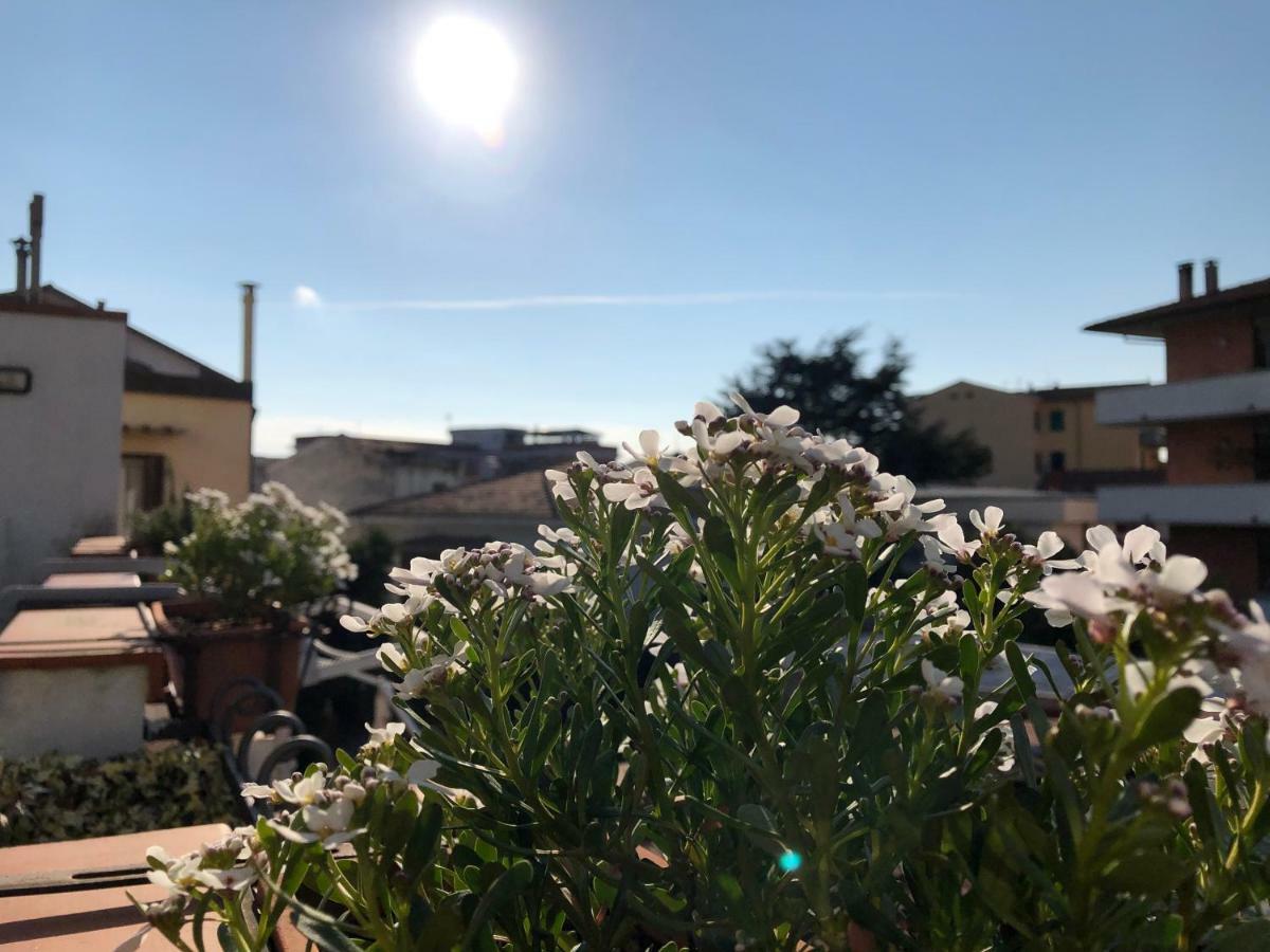Da Paola Bed & Breakfast Pisa Eksteriør bilde